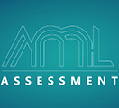 AML ASSESSMENT LTD