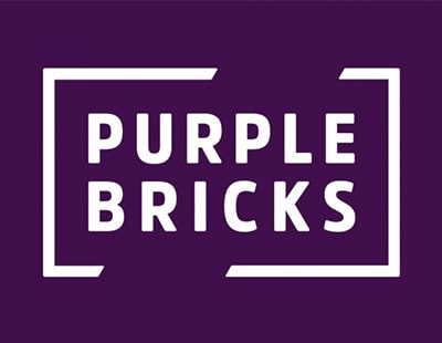 Purplebricks shareholder doesn’t rule out EGM on chairman position 