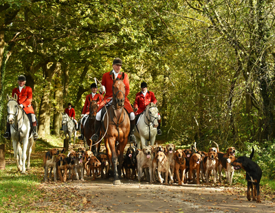 Buyers of rural homes need more upfront info about hunt crime - claim